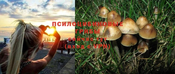 ешки Балахна