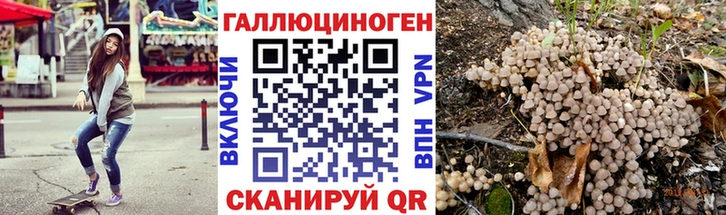 где продают наркотики  Певек  Галлюциногенные грибы Psilocybine cubensis 